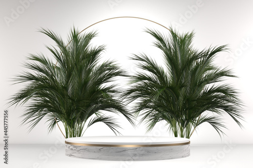 The Tropical granite Podium geometric and plants decoration on white background .3D rendering