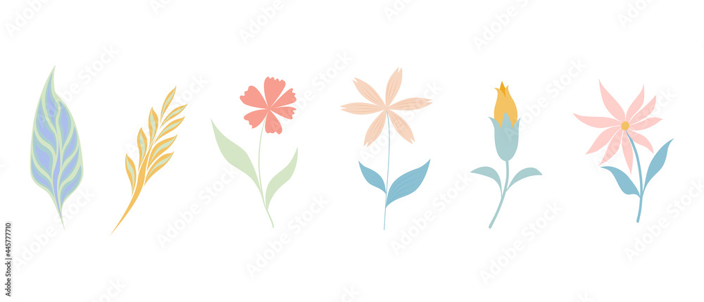 Flowers and leaves set Flowers and leaves set