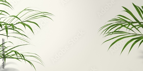 Tropical palm leaves with shadow