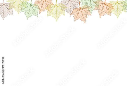 Maple tree leaf frame.  illustration. Autumn colors graphic card template top boarder.