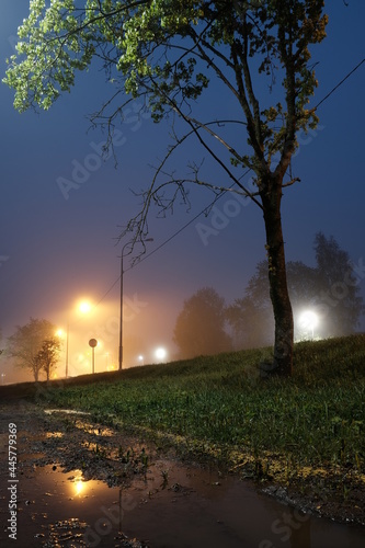 summer night in the city