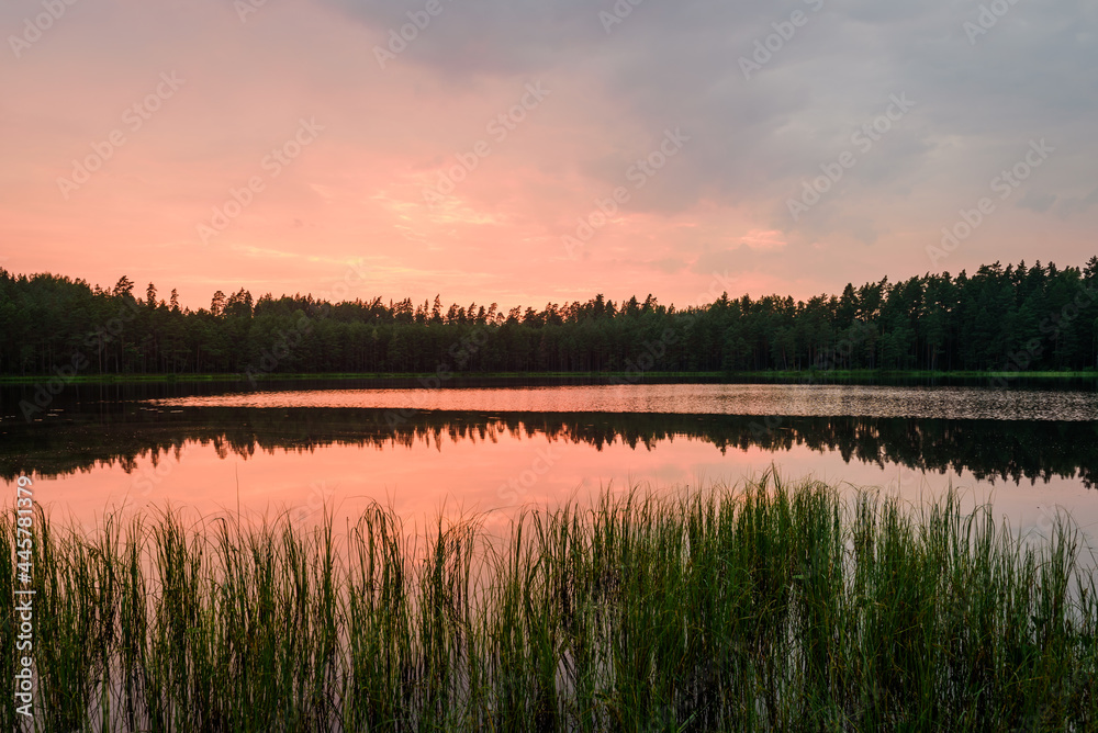 Fototapeta premium Sunset above lake in forest. Pilezers lake in Latvia.