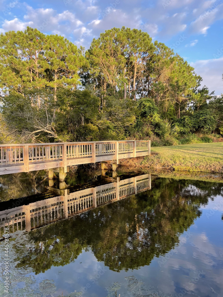 Evening sun shining on wooden bridge over pond water and landscape Evening sun shining on wooden bridge over pond water and landscape