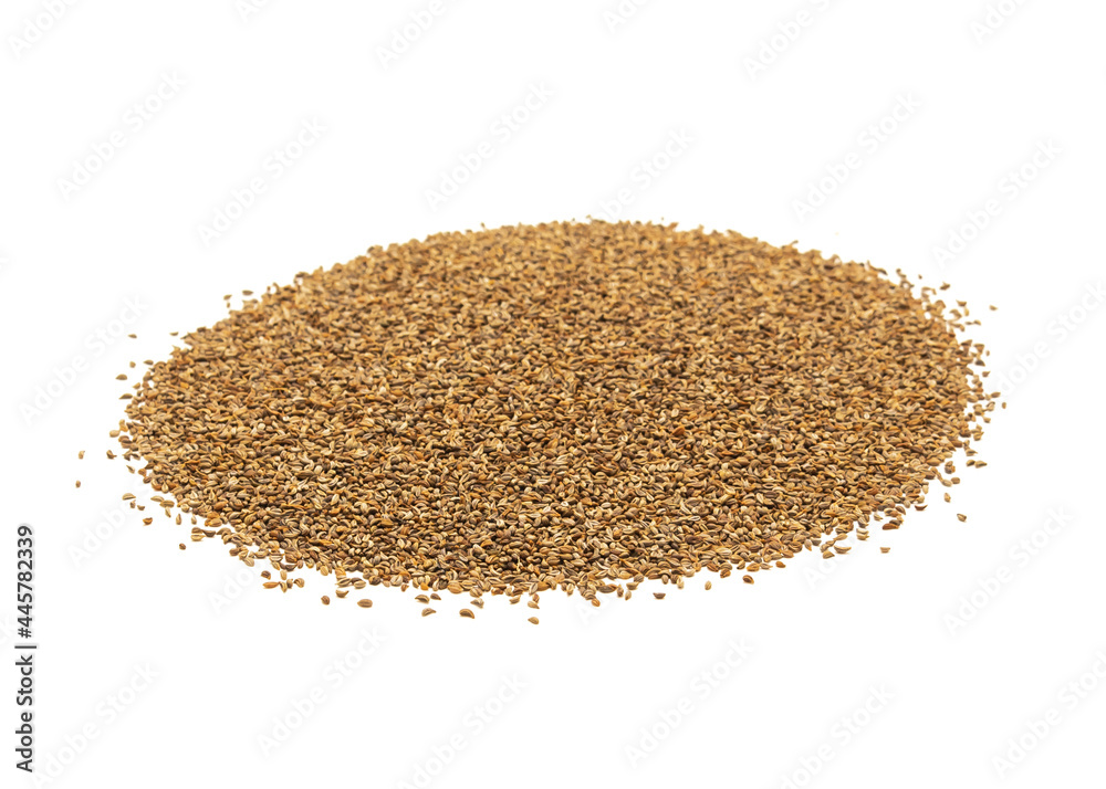 Studio shot pile of organic parsley seeds isolated on white background Studio shot pile of organic parsley seeds isolated on white background