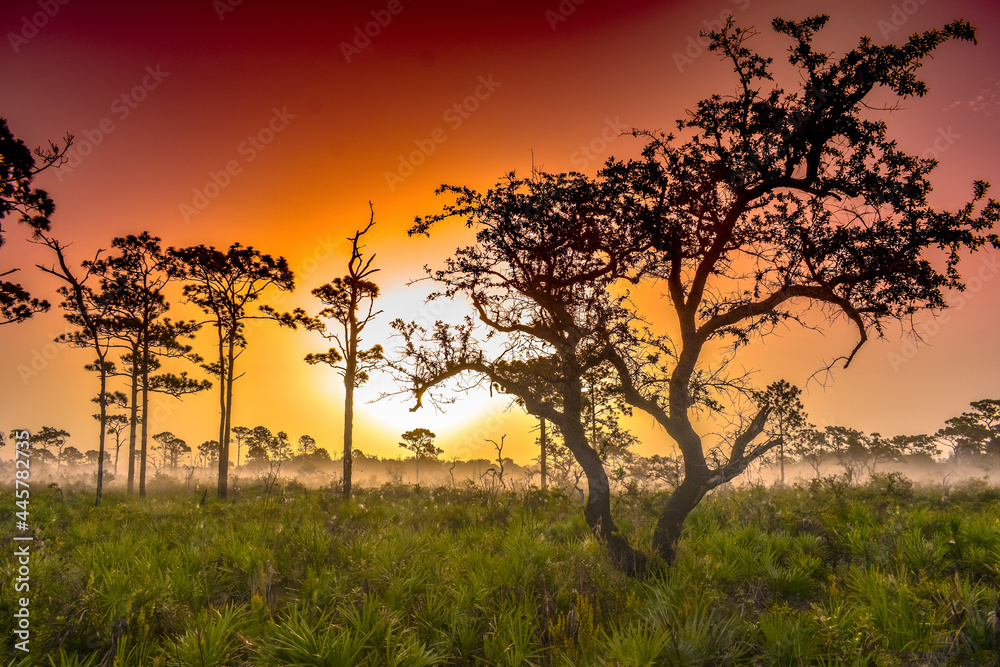 sunset in the countryside