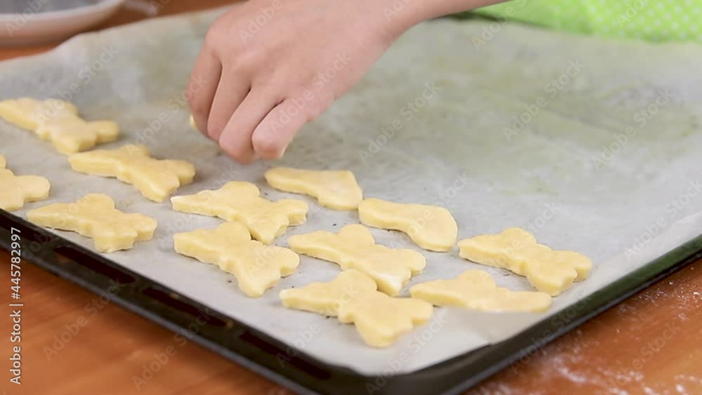girl puts cookies for baking on baking sheet on parchment paper, close-up girl puts cookies for baking on baking sheet on parchment paper, close-up