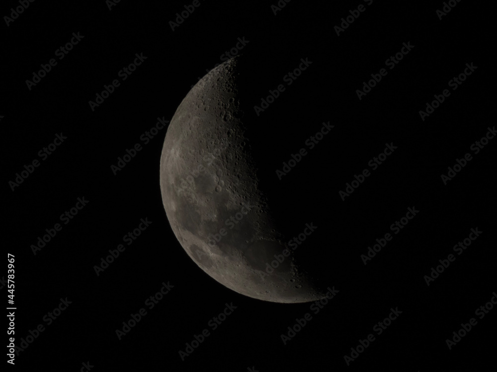 moon moon