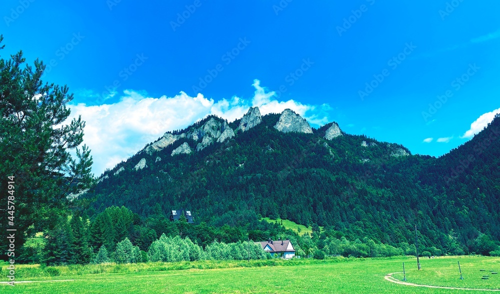 Trzy Korony mountain, Landscape with trees and blue sky, Pieniny moutains, Poland, 