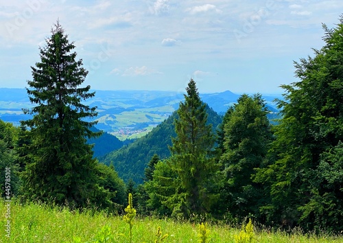 Landscape with trees and blue sky  Pieniny moutains  Poland