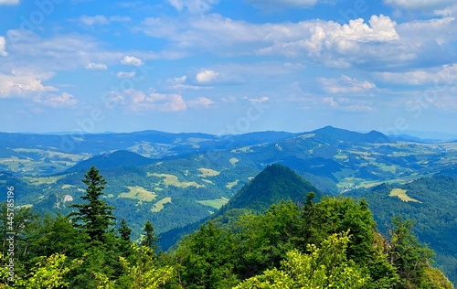 Landscape with trees and blue sky  Pieniny moutains  Poland