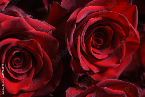 chic rich dark red bouquet of rose flower macro