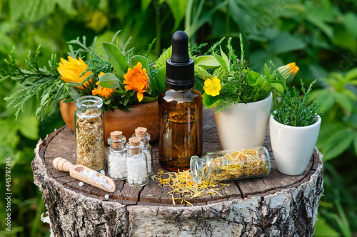 Bottles of homeopathy granules. Dropper bottle of tincture or oil. Homeopathic and naturopathic remedies. Calendula flowers and juniper twigs in mortars.