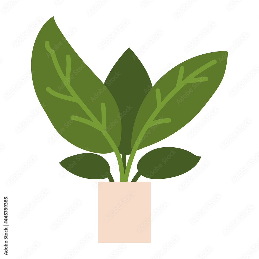 Naklejka premium houseplant interior decoration