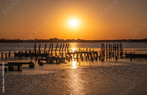 Beautiful red and orange sunset over the sea. The sun goes down over the sea. A flock of cormorants sits on a old sea pier in orange sunset light