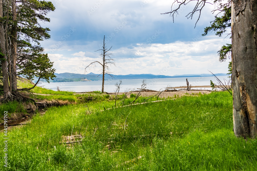 Yellowstone Lake from Storm Point Nature Trail Yellowstone Lake from Storm Point Nature Trail