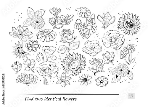 Logic puzzle game for children and adults. Find two identical flowers. Memory exercises for seniors. Page for kids brain teaser book. Developing spatial thinking. IQ test. Play online.