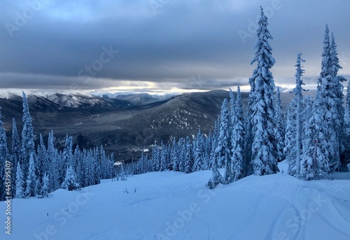 Winter in the Northern Rockies © Matthew