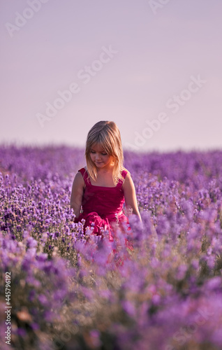 Fototapeta Naklejka Na Ścianę i Meble -  Beautiful blonde girl on lavender field