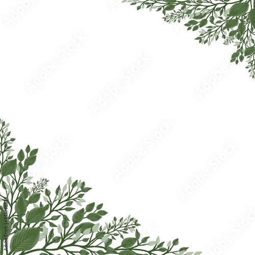 white background with fresh green wild plant