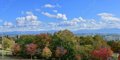 美瑛の丘で見た青空バックの十勝連峰とカラフルな紅葉のコラボ情景＠北海道