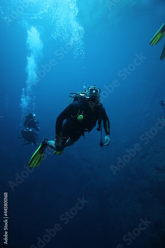 scuba diver and divers © SrgioPaulo