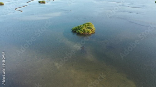 Aerial view of the beautiful pastel blue salt marsh and bright green Red Mangrove (Rhizophora mangle) island of the Spruce Creek coastal basin including Strickland Bay and Turnbull Bay. Looking south  photo