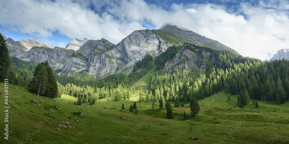 Panoramabild mit Waldgebiet Bergen und Kletterfelsen