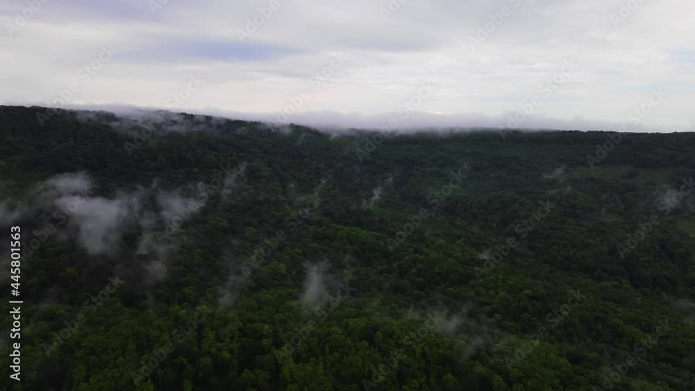 Lush Green Forest Foliage with Morning Fog in Adygea, Russia. Aerial View Lush Green Forest Foliage with Morning Fog in Adygea, Russia. Aerial View