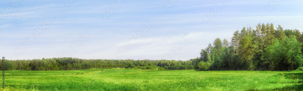 Field and forest on the horizon extra large panoramic landscape