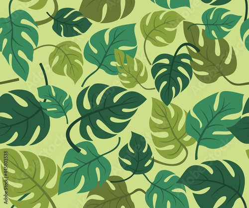 Seamless Pattern Wallpaper of Monstera Leaves for the Tropical Plant Background.