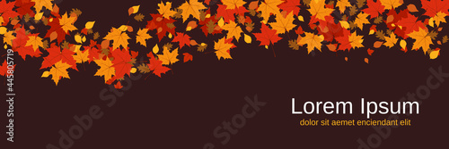 Autumn style vector banner template. Brown background with colorful tree leaves