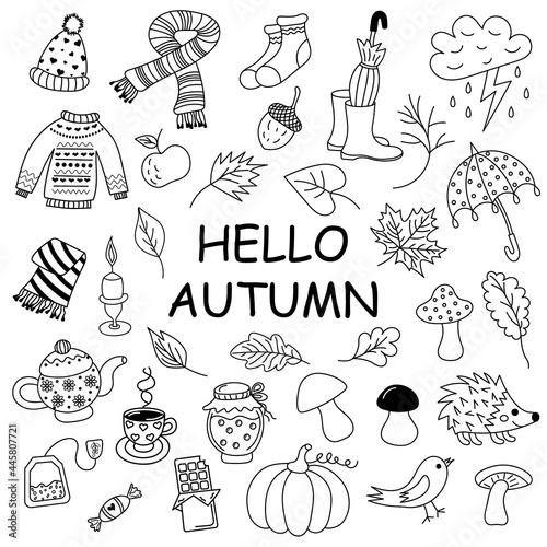 Autumn doodle set