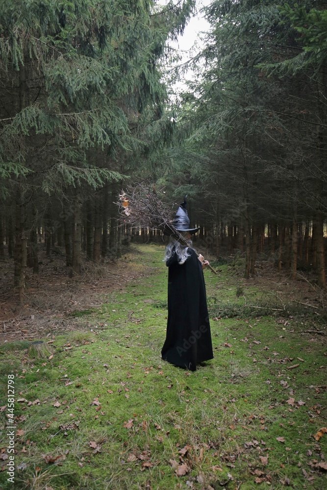  witch in a black cloak  with a broom in a dark spruce forest .Halloween holiday. Witch costume. Masquerade in October. Witchcraft and magic concept.Witch halloween costume
