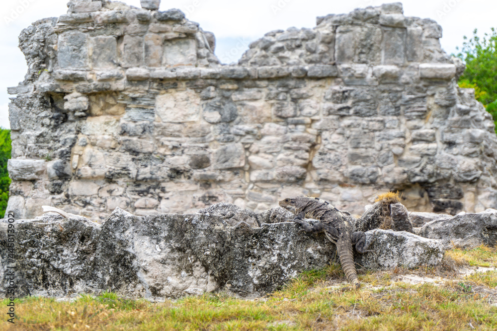El Rey is an archaeological site of the pre-Columbian Mayan culture, located in the southeast of Mexico, in the tourist resort of Cancun, in the state of Quintana Roo.