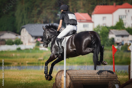 portrait of horse jumping during horse eventing cross-country in the morning in summer