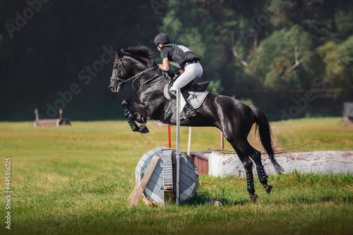 portrait of black horse with man rider jumping over obstacle during eventing cross country competition in summer