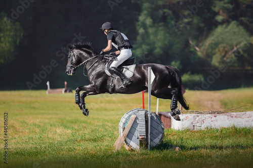 portrait of black horse with man rider jumping over obstacle during eventing cross country competition in summer