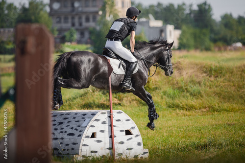 closeup portrait of horse jumping (eventing competition)