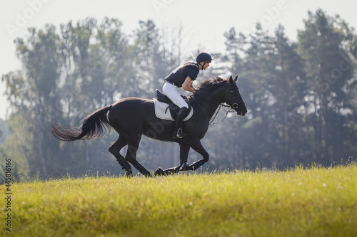 portrait of rider man and black stallion horse galloping during eventing cross country competition in summer © vprotastchik