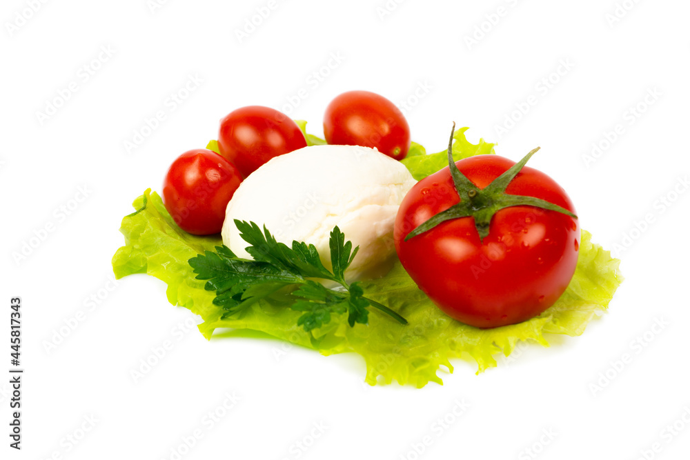 mozzarella and tomatoes on white background mozzarella and tomatoes on white background