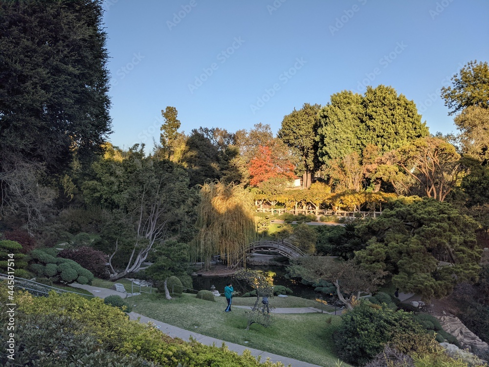 Huntington Garden in Los Angeles