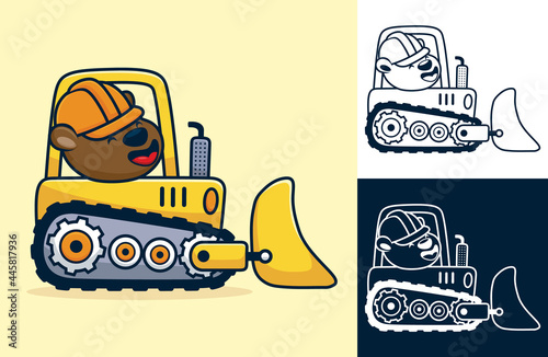 Little bear wearing worker helmet on bulldozer. Vector cartoon illustration in flat icon style
