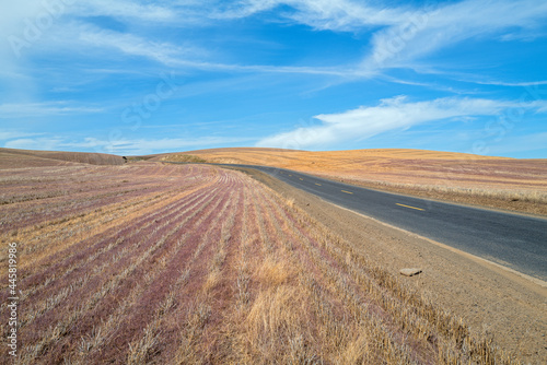 A road runs along plowed hay fields, southeastern Washington, USA