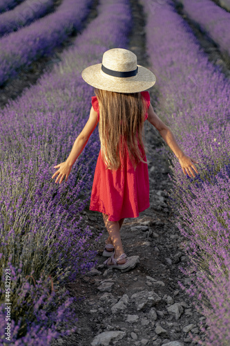 A girl with long brown loose hair 7 years old in a red dress and a hat walks alone in a lavender field during the day spreading her arms in both directions.