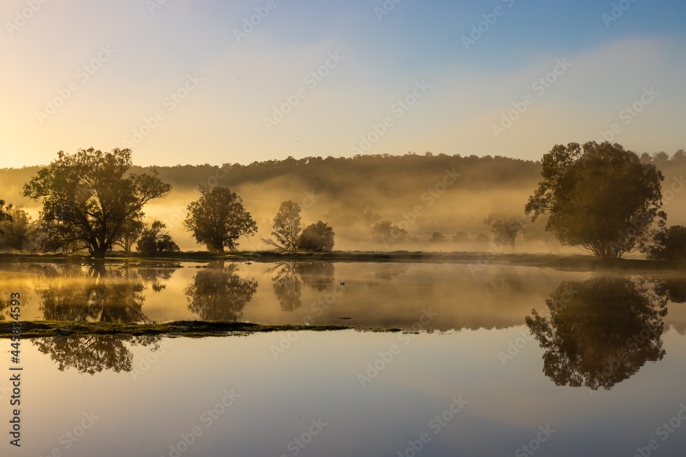 Fototapeta premium Early misty sunrise with reflecting trees in lake after heavy rain in the Chittering Valley, Western Australia