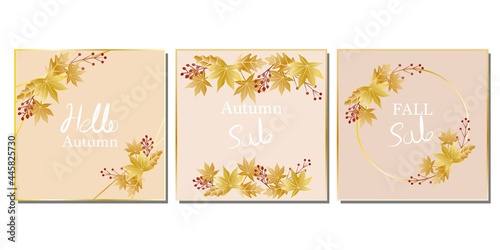 Set of autumn vector template decoration with golden maple leaves and berries. Autumn sale  fall banner  autumn concept web template. Vector illustration.