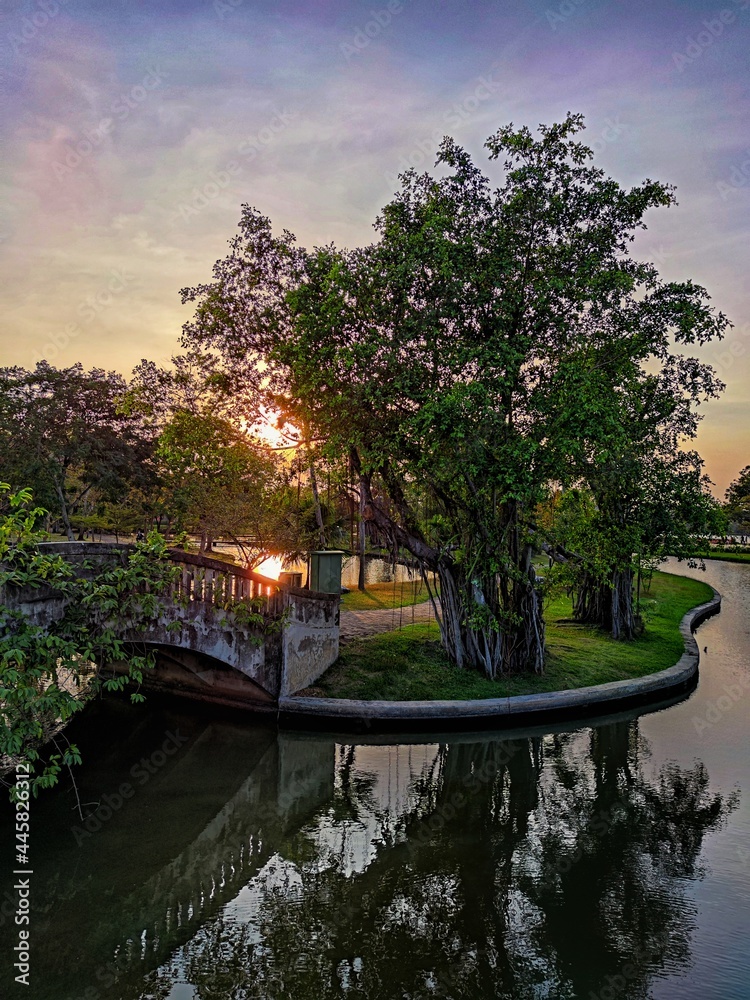Fototapeta premium Park