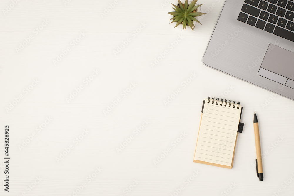 Top view photo of laptop flowerpot small spiral notebook and pen on isolated white wooden table background with blank space Top view photo of laptop flowerpot small spiral notebook and pen on isolated white wooden table background with blank space