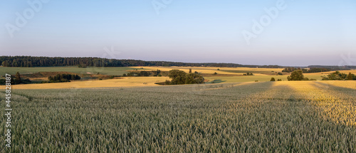 A typicaly Swedish rural farmland scene in sunset photo