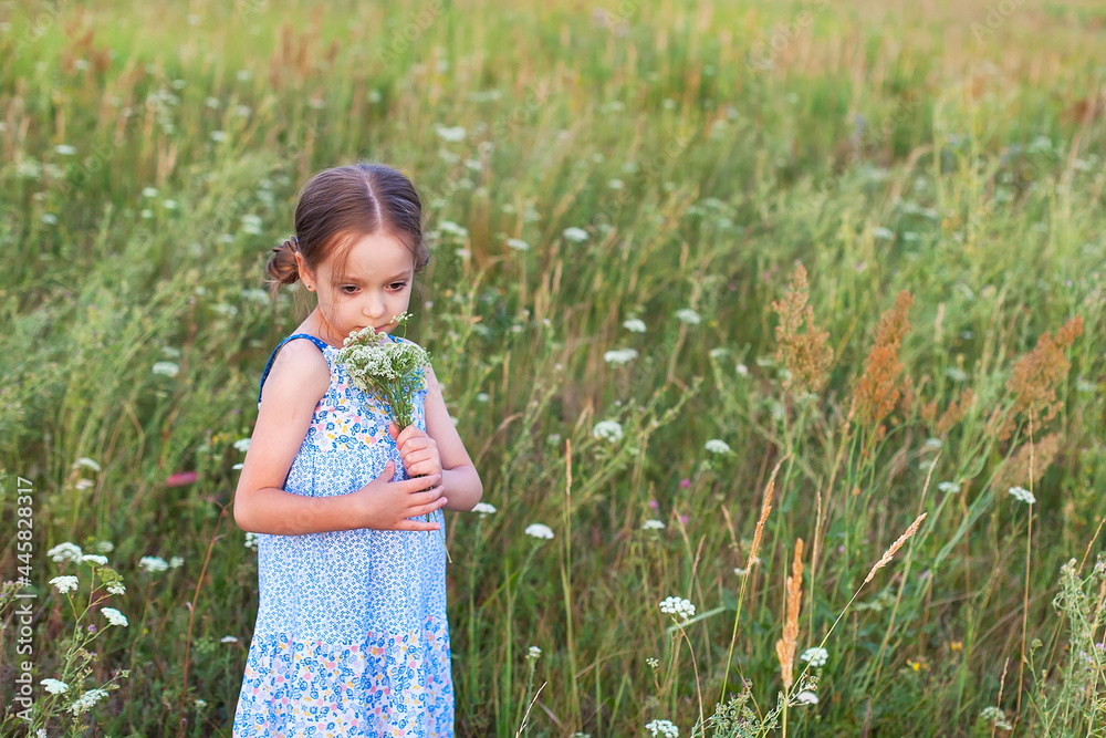 A cute little girl with long braids in a meadow on a summer day. Outdoor walks A cute little girl with long braids in a meadow on a summer day. Outdoor walks